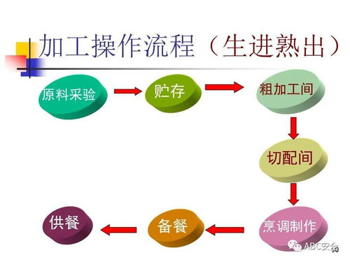食品安全法与餐饮服务 信息咨询服务的关键要点