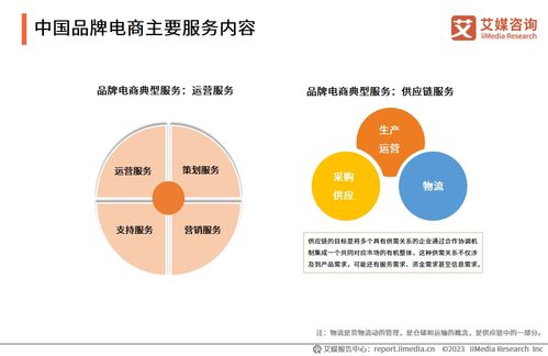 2023年中国品牌电商服务行业研究报告 信息咨询服务解析